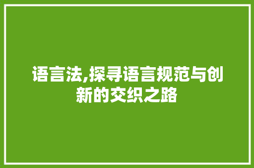 语言法,探寻语言规范与创新的交织之路