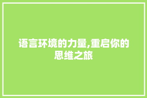 语言环境的力量,重启你的思维之旅 百度SEO