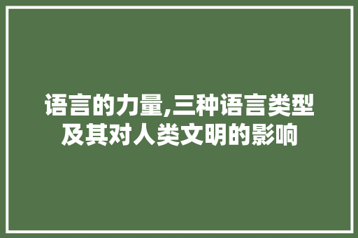 语言的力量,三种语言类型及其对人类文明的影响