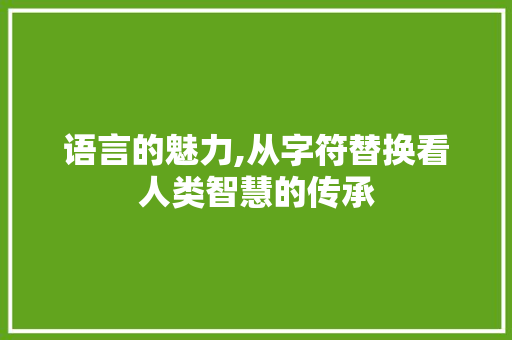 语言的魅力,从字符替换看人类智慧的传承