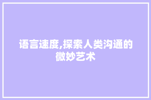 语言速度,探索人类沟通的微妙艺术 必应SEO
