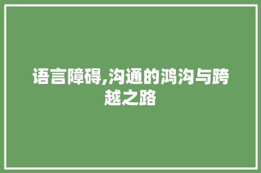 语言障碍,沟通的鸿沟与跨越之路 GoogleSEO