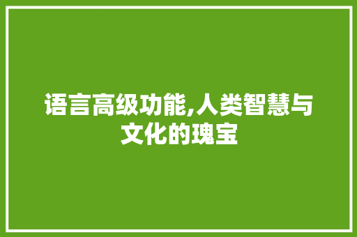 语言高级功能,人类智慧与文化的瑰宝 GoogleSEO