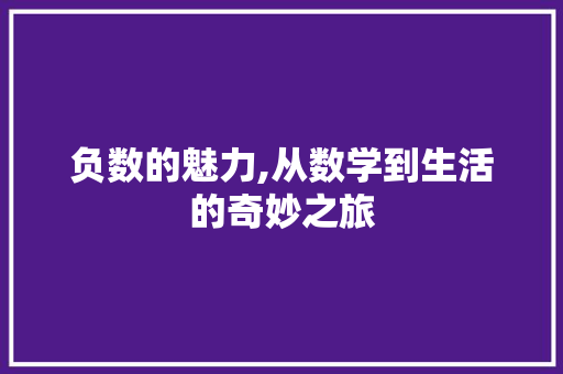 负数的魅力,从数学到生活的奇妙之旅 搜狗SEO