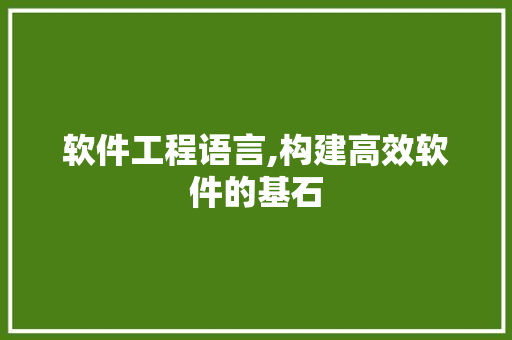软件工程语言,构建高效软件的基石 GoogleSEO