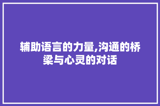 辅助语言的力量,沟通的桥梁与心灵的对话 百度SEO