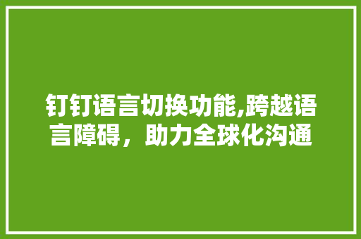 钉钉语言切换功能,跨越语言障碍，助力全球化沟通 神马SEO