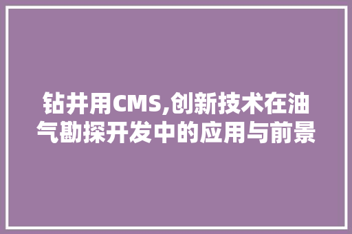 钻井用CMS,创新技术在油气勘探开发中的应用与前景 神马SEO