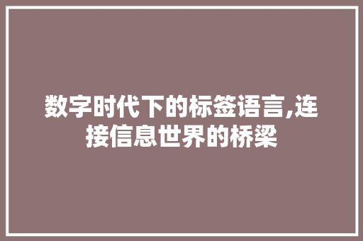 数字时代下的标签语言,连接信息世界的桥梁 必应SEO