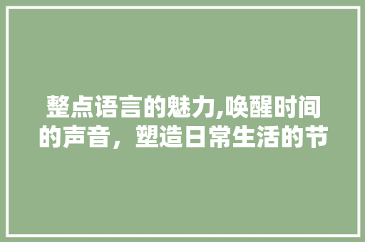 整点语言的魅力,唤醒时间的声音，塑造日常生活的节奏 百度SEO