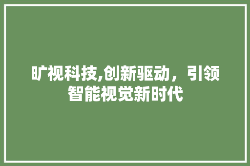 旷视科技,创新驱动，引领智能视觉新时代