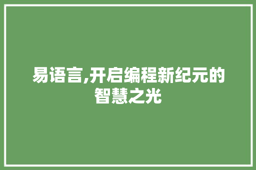 易语言,开启编程新纪元的智慧之光