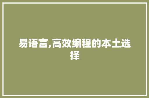 易语言,高效编程的本土选择