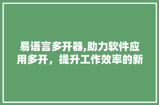 易语言多开器,助力软件应用多开，提升工作效率的新宠儿 神马SEO