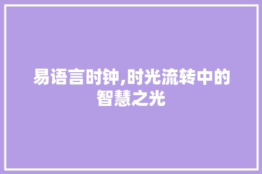易语言时钟,时光流转中的智慧之光