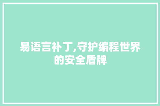 易语言补丁,守护编程世界的安全盾牌 搜狗SEO