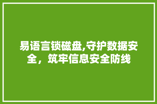 易语言锁磁盘,守护数据安全，筑牢信息安全防线 GoogleSEO