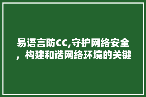 易语言防CC,守护网络安全，构建和谐网络环境的关键技术介绍 GoogleSEO