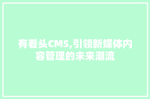 有看头CMS,引领新媒体内容管理的未来潮流 必应SEO