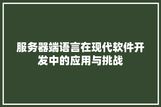 服务器端语言在现代软件开发中的应用与挑战 GoogleSEO