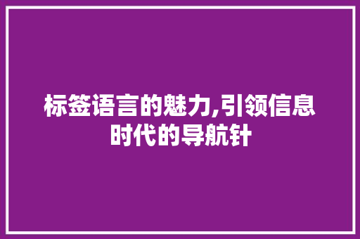 标签语言的魅力,引领信息时代的导航针 GoogleSEO
