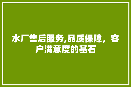 水厂售后服务,品质保障，客户满意度的基石 神马SEO