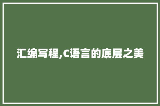 汇编写程,C语言的底层之美