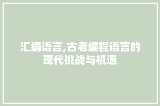 汇编语言,古老编程语言的现代挑战与机遇