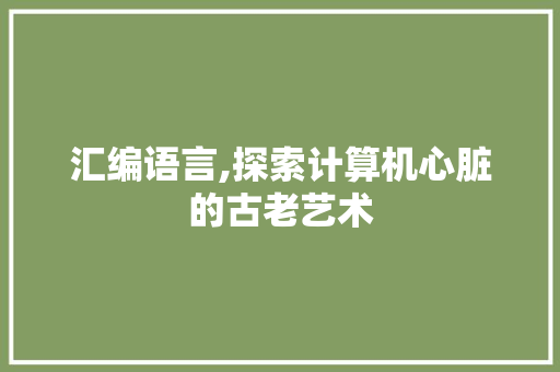 汇编语言,探索计算机心脏的古老艺术