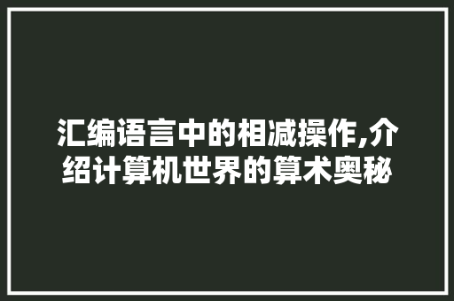 汇编语言中的相减操作,介绍计算机世界的算术奥秘