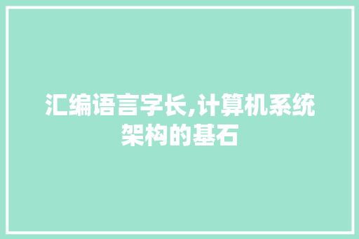 汇编语言字长,计算机系统架构的基石