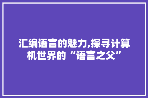 汇编语言的魅力,探寻计算机世界的“语言之父” GoogleSEO