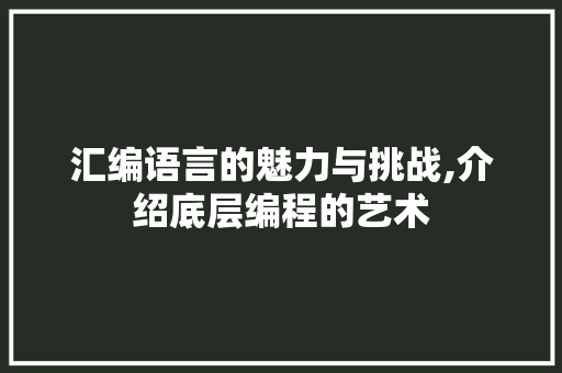 汇编语言的魅力与挑战,介绍底层编程的艺术