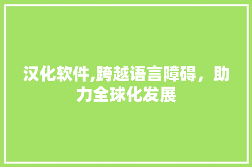 汉化软件,跨越语言障碍，助力全球化发展