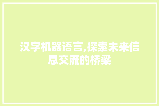 汉字机器语言,探索未来信息交流的桥梁