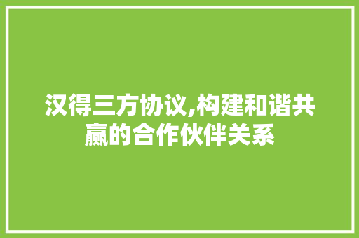 汉得三方协议,构建和谐共赢的合作伙伴关系 百度SEO