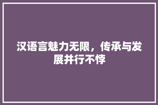 汉语言魅力无限，传承与发展并行不悖