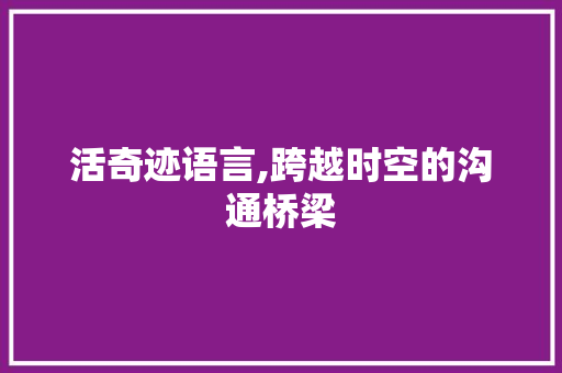 活奇迹语言,跨越时空的沟通桥梁 百度SEO