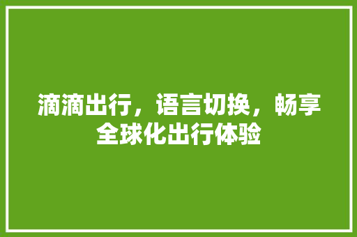 滴滴出行，语言切换，畅享全球化出行体验