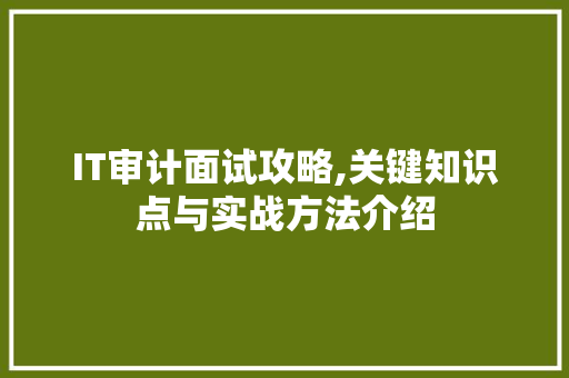 IT审计面试攻略,关键知识点与实战方法介绍