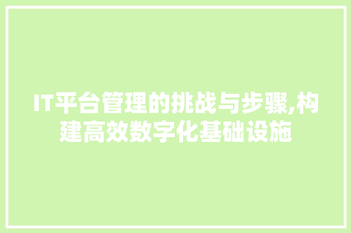IT平台管理的挑战与步骤,构建高效数字化基础设施 GoogleSEO