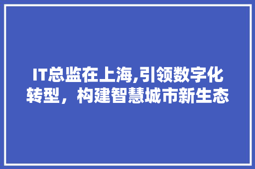 IT总监在上海,引领数字化转型，构建智慧城市新生态
