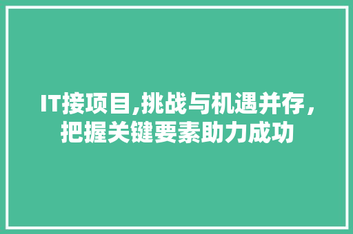 IT接项目,挑战与机遇并存，把握关键要素助力成功 百度SEO