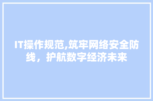 IT操作规范,筑牢网络安全防线，护航数字经济未来 神马SEO