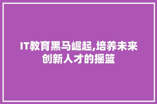 IT教育黑马崛起,培养未来创新人才的摇篮