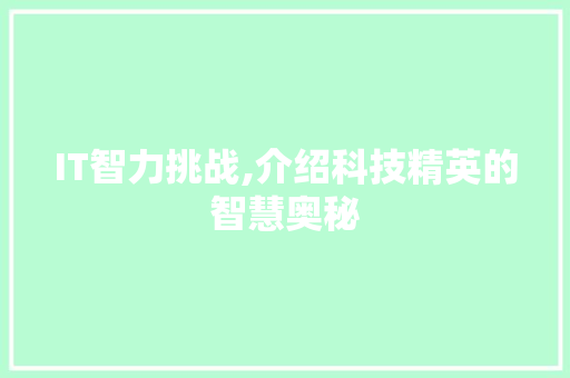 IT智力挑战,介绍科技精英的智慧奥秘
