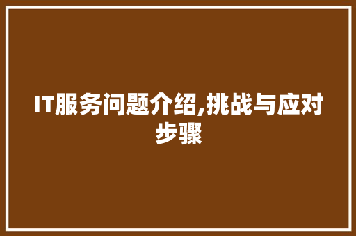 IT服务问题介绍,挑战与应对步骤 GoogleSEO