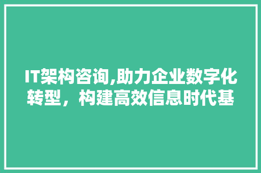 IT架构咨询,助力企业数字化转型，构建高效信息时代基石