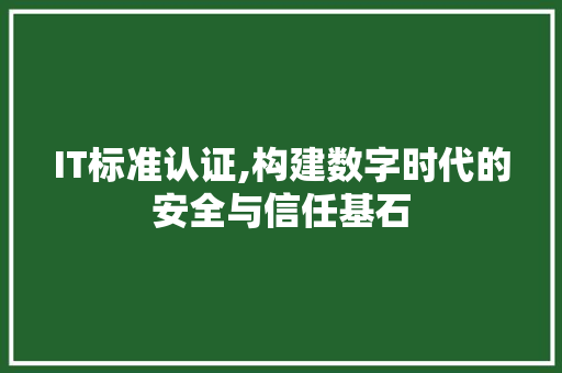 IT标准认证,构建数字时代的安全与信任基石 神马SEO