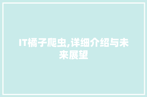 IT橘子爬虫,详细介绍与未来展望 百度SEO